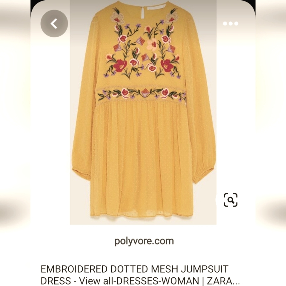 Size- S, ZARA Embroidered mesh jumpsuit dress. - Picture 2 of 10
